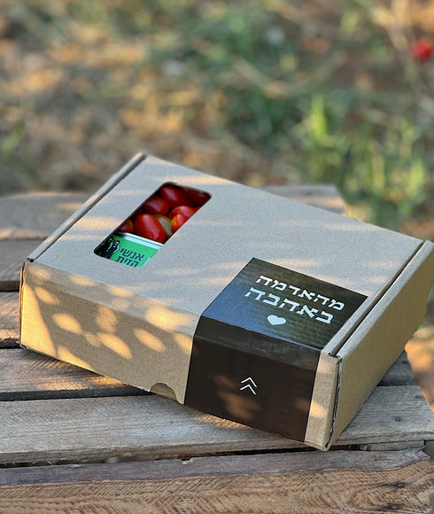 אנטיפסטי